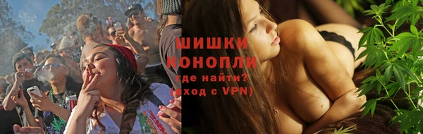 mix Инта
