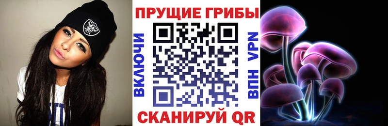 Галлюциногенные грибы мухоморы  Купить закладки  Анжеро-Судженск 